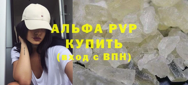 индика Арсеньев