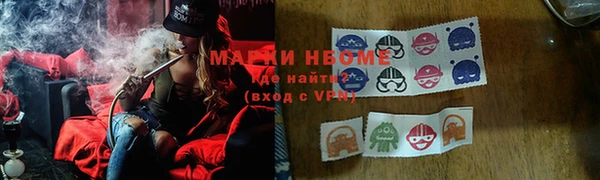 индика Арсеньев