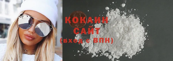 ГАЛЛЮЦИНОГЕННЫЕ ГРИБЫ Аркадак
