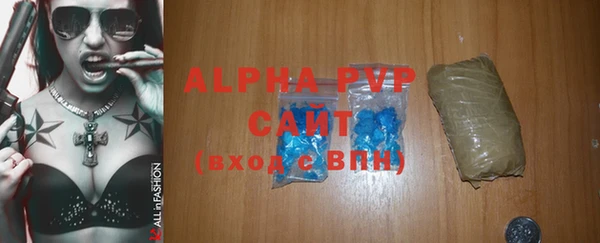 индика Арсеньев