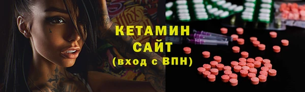 прущие грибы Каменка