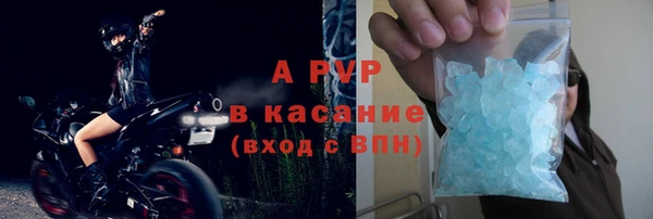 индика Арсеньев
