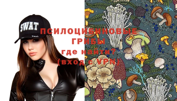ГАЛЛЮЦИНОГЕННЫЕ ГРИБЫ Аркадак