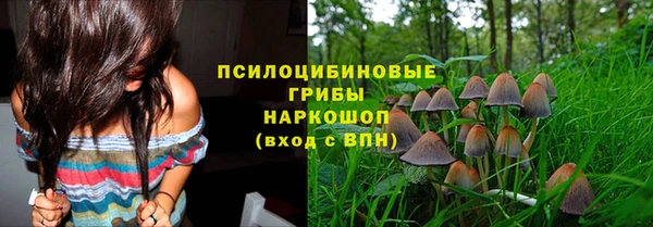 соль ск Армянск