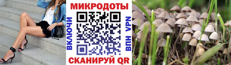 дарк нет Telegram Старая Купавна Псилоцибиновые грибы мухоморы